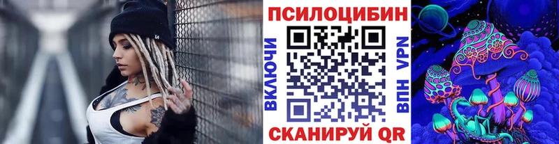 mega как зайти  Магадан  Галлюциногенные грибы GOLDEN TEACHER 